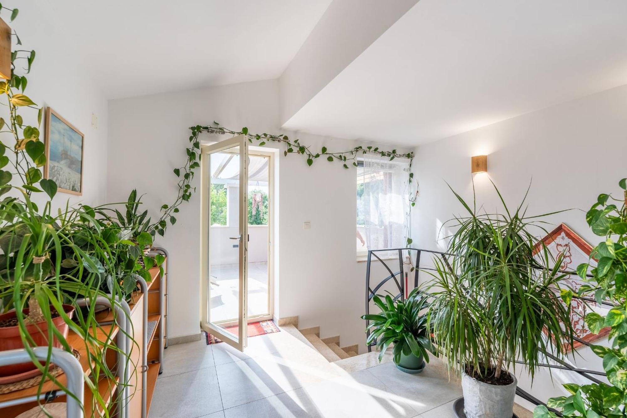Apartment Picaferaj